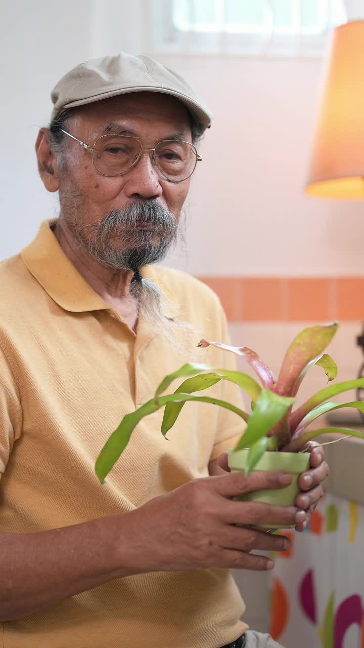 亚洲老人在室内花园种植盆栽植物视频素材