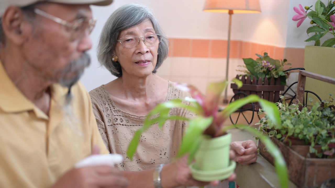 亚洲老夫妇在家里的盆栽室内花园视频素材