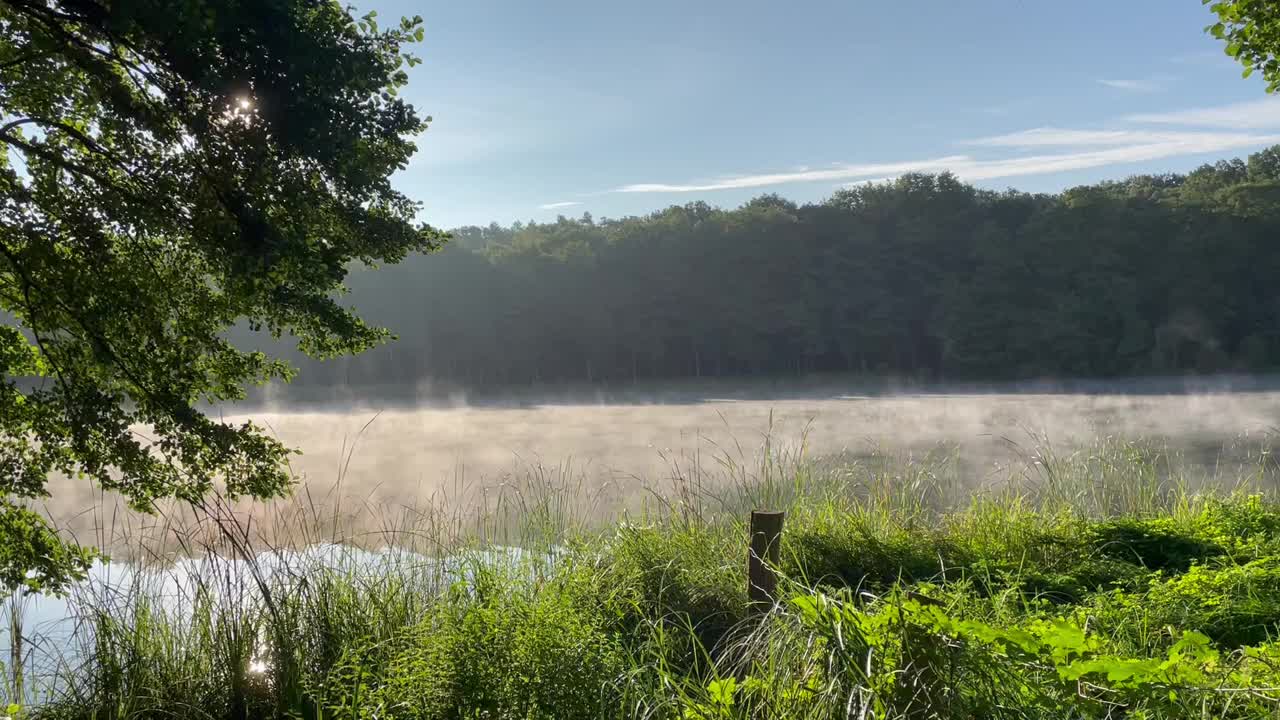 清晨薄雾飘过湖面。Grunewald,柏林视频素材