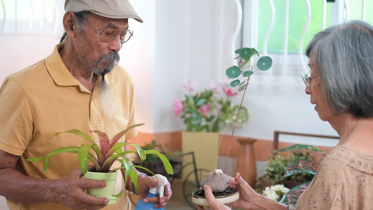 亚洲老夫妇在家里的盆栽室内花园视频素材