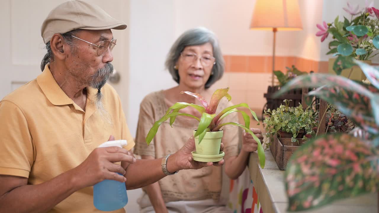 亚洲老夫妇在家里的盆栽室内花园视频素材