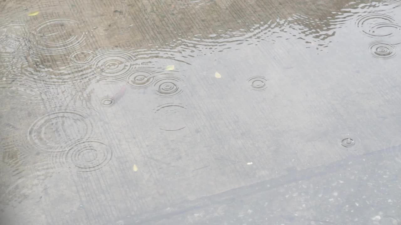 雨落在路上。视频素材