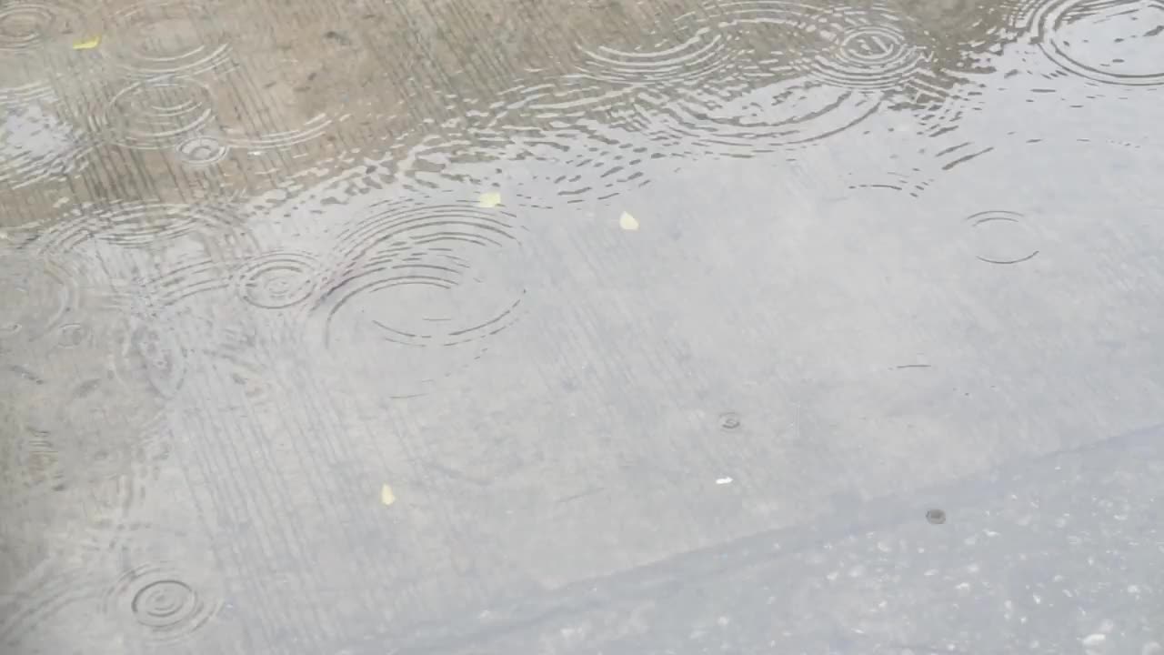 雨落在路上。视频素材