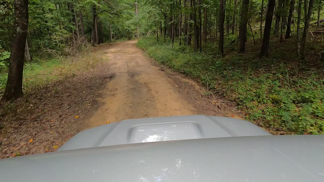 行驶在肮脏的林务公路上视频素材