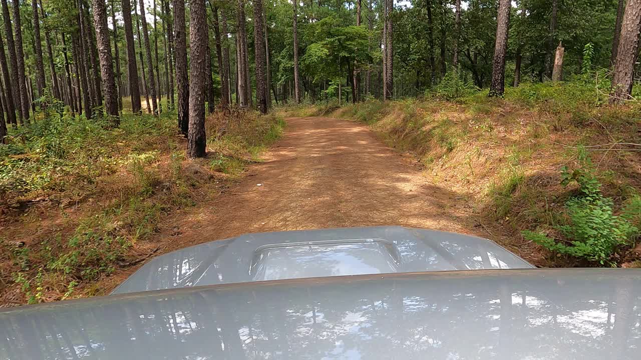 越野车4x4驱动通过树林视频素材