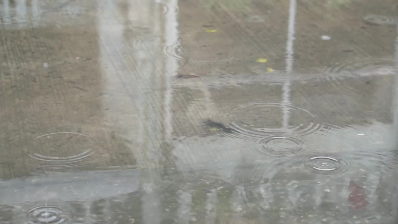 雨落在路上。视频素材