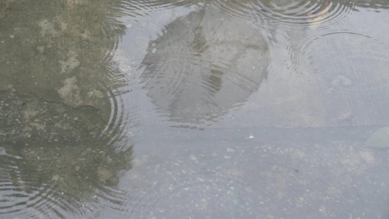 慢高清雨落在路上。视频素材