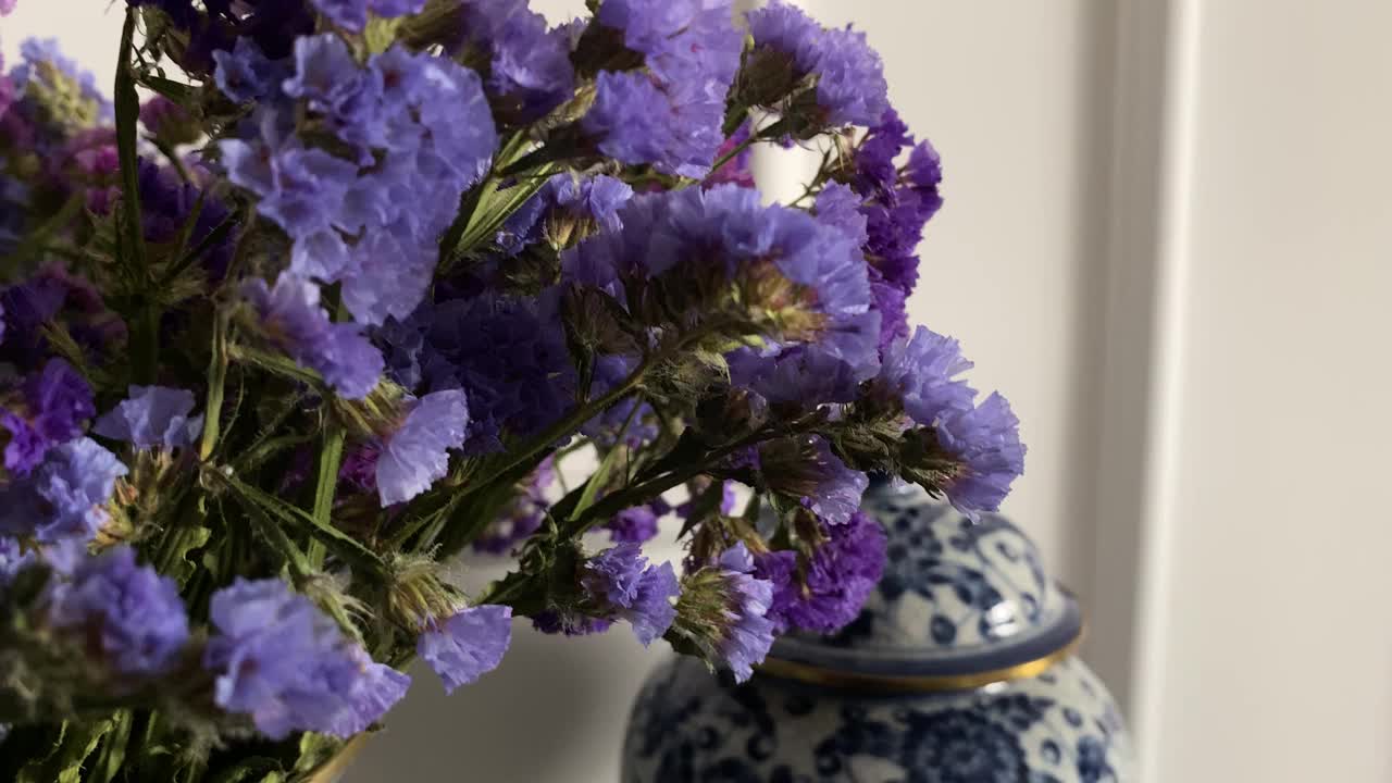 家中花瓶里的粉色花朵拍摄，生活物品库存视频中一天的概念视频素材