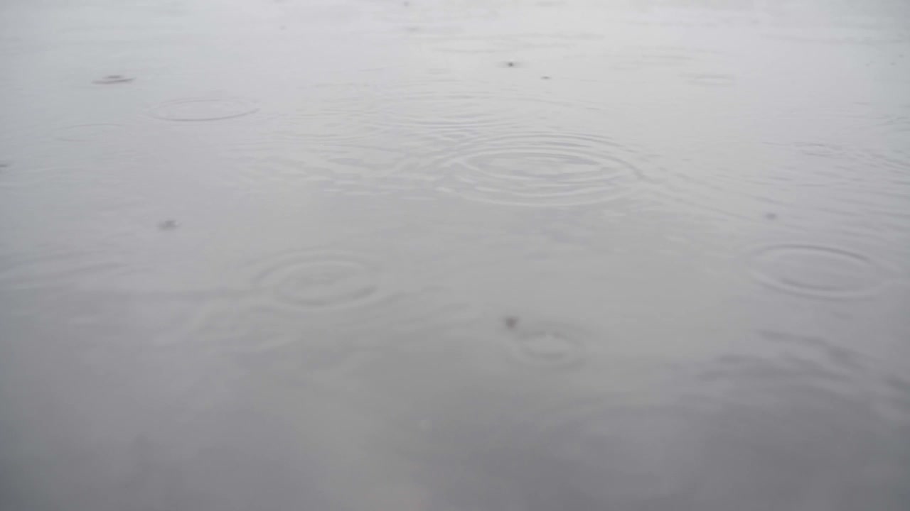 开始下雨了。多雨的天气。湖面上的雨滴。河上下了一点小雨。雨落在水坑上视频下载