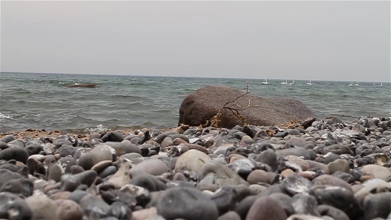 波罗的海沿岸视频素材