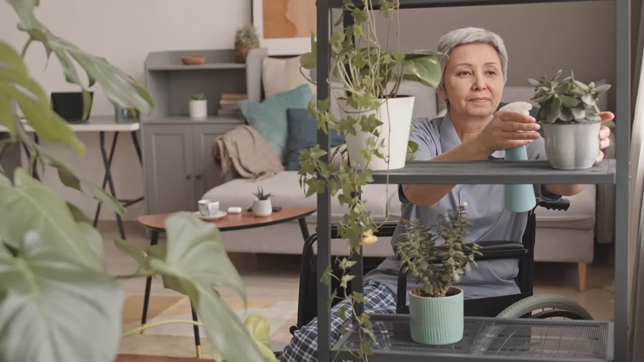 伤残老年妇女喷洒植物视频素材