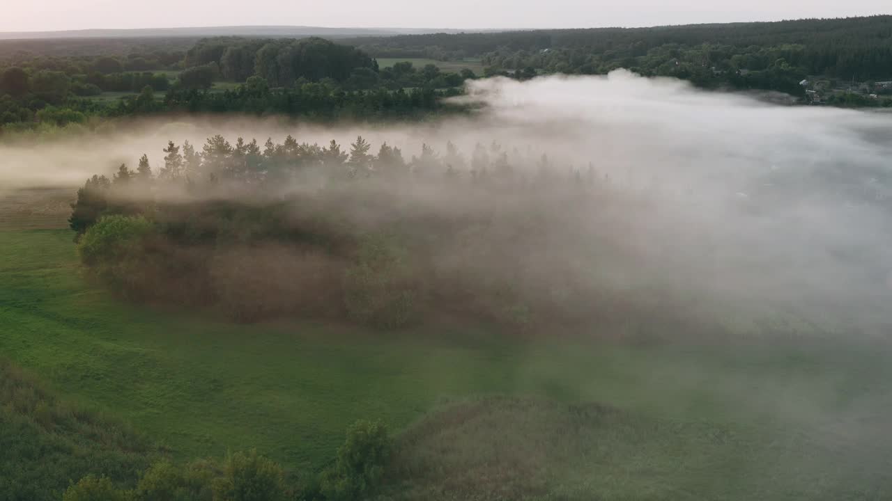 山谷里松树上烟雾弥漫视频素材