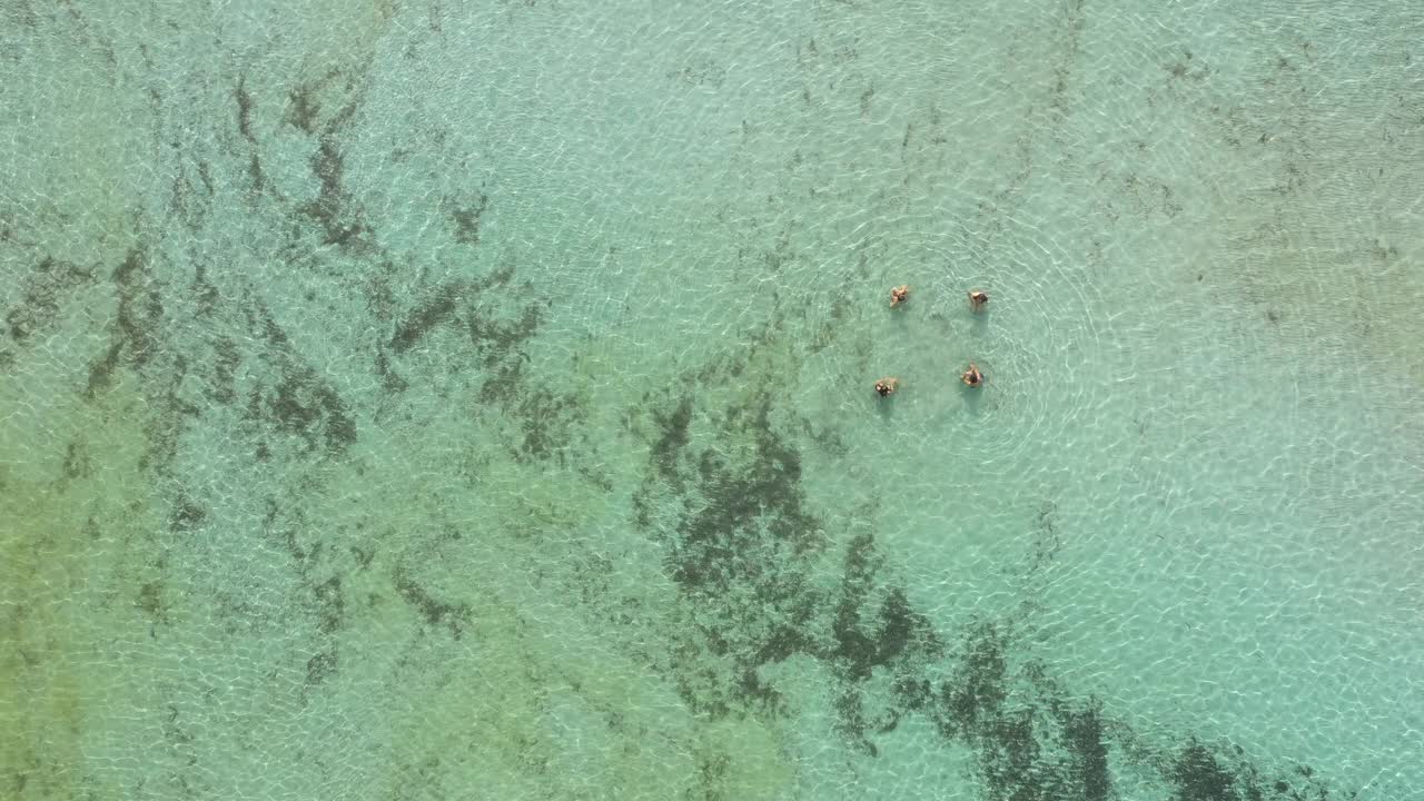 在Menorca，无人驾驶飞机看到了人们在水中，没有人在Menorca视频素材