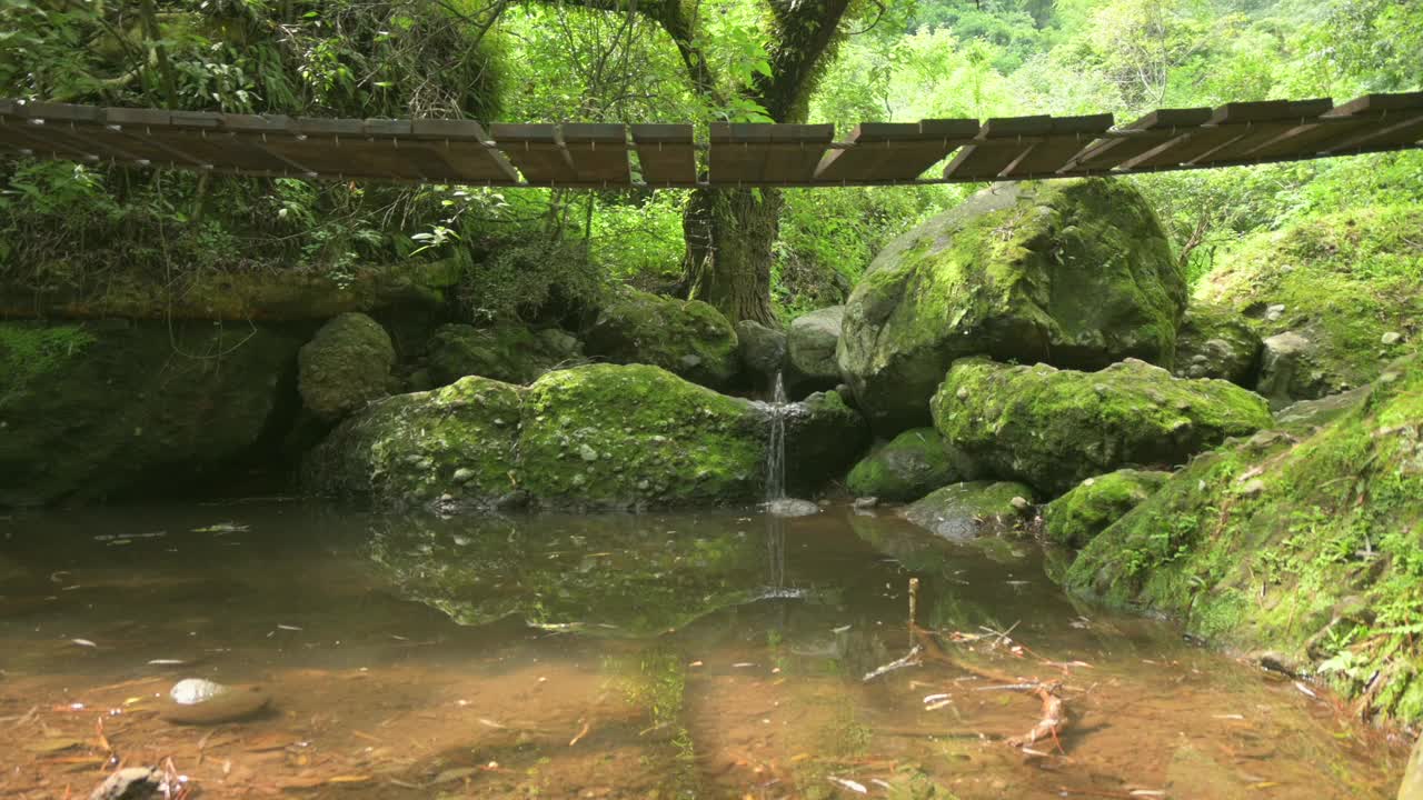 低角度摄像机，悬索桥，适合徒步与森林的风景。可持续旅游的概念视频素材