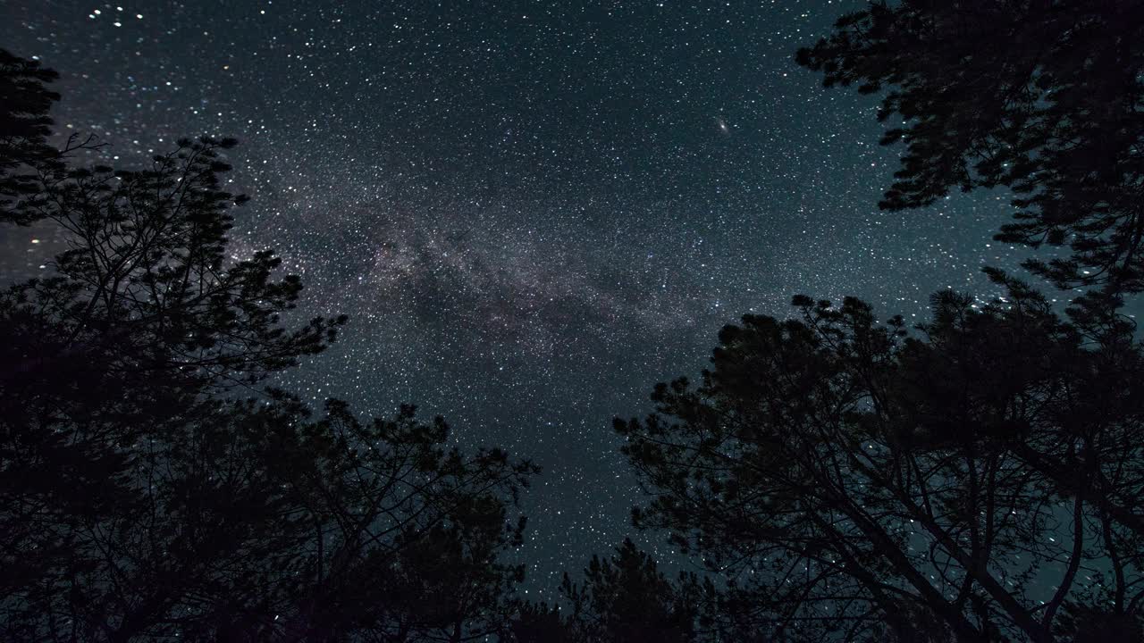 延时。银河在繁星点点的天空中，在夜晚的森林中视频素材