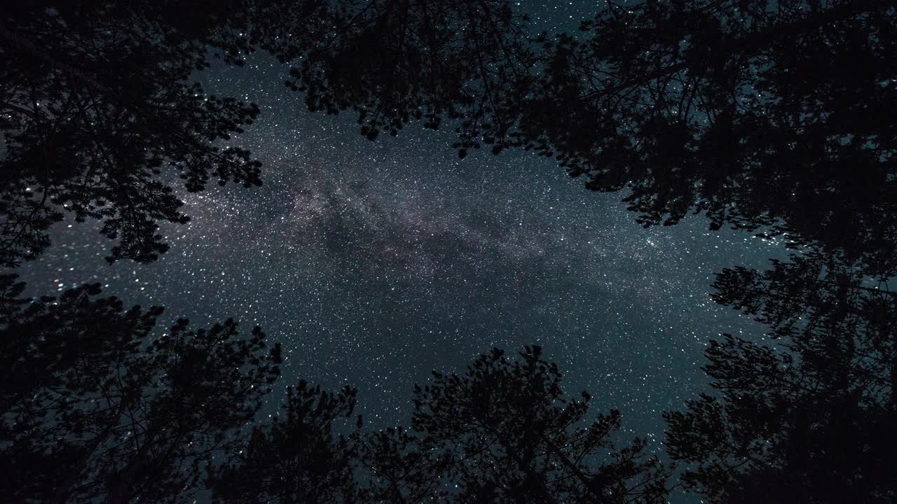 延时。银河在繁星点点的天空中，在夜晚的森林中视频素材