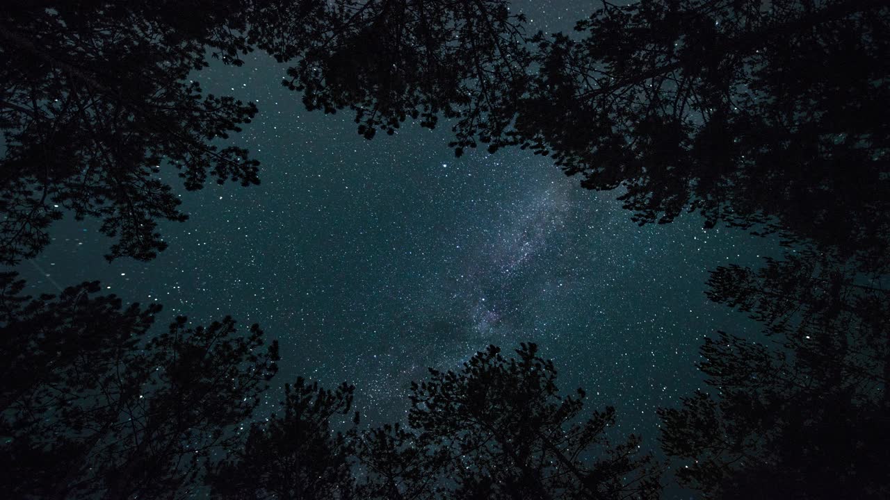 延时。银河在繁星点点的天空中，在夜晚的森林中视频素材