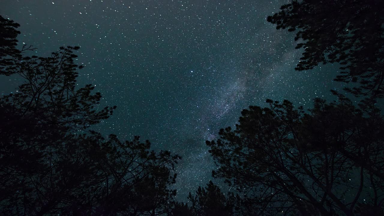 延时。银河在繁星点点的天空中，在夜晚的森林中视频素材