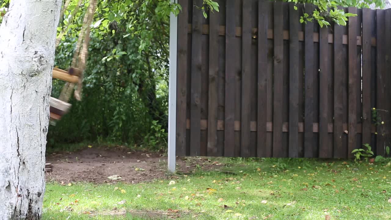 空的木制秋千挂在花园后院里的一棵树上。视频素材