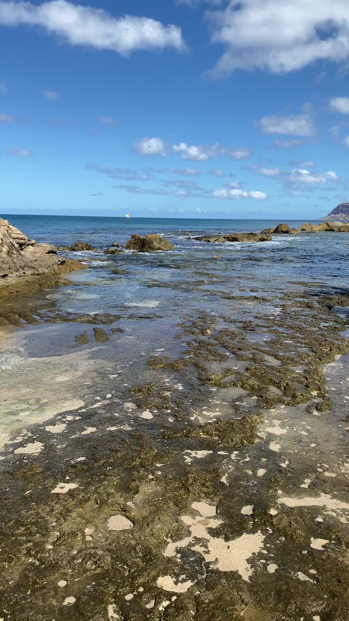 瓦胡岛泻湖的岩石海岸线视频素材