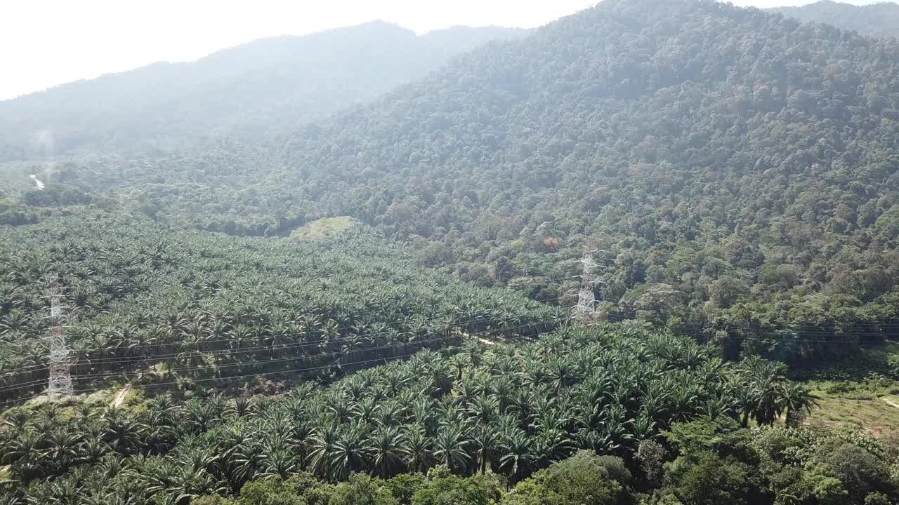 乡村鸟瞰图视频素材