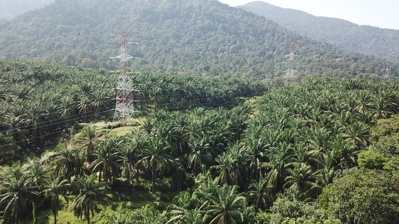 乡村鸟瞰图视频素材