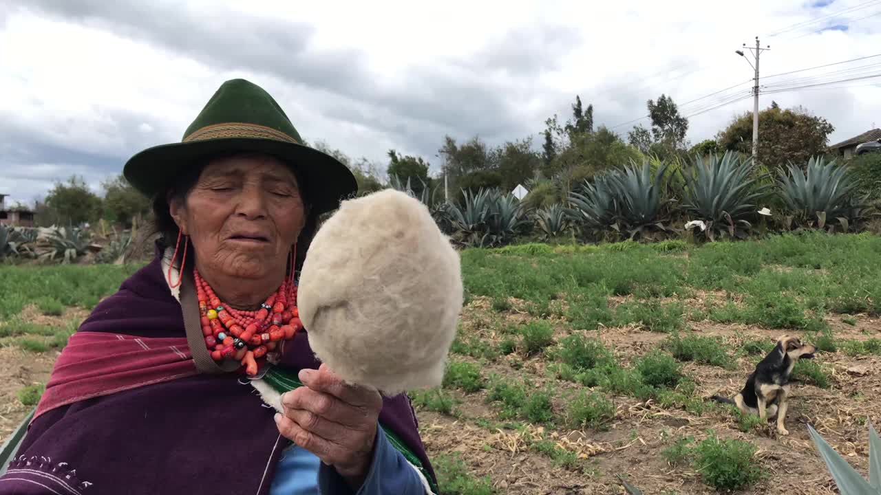 拉丁美洲/南美土著妇女画像背面是安第斯山脉。视频素材