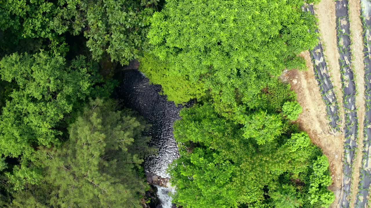 韩国江原道洪川郡龙索瀑布的风景视频素材