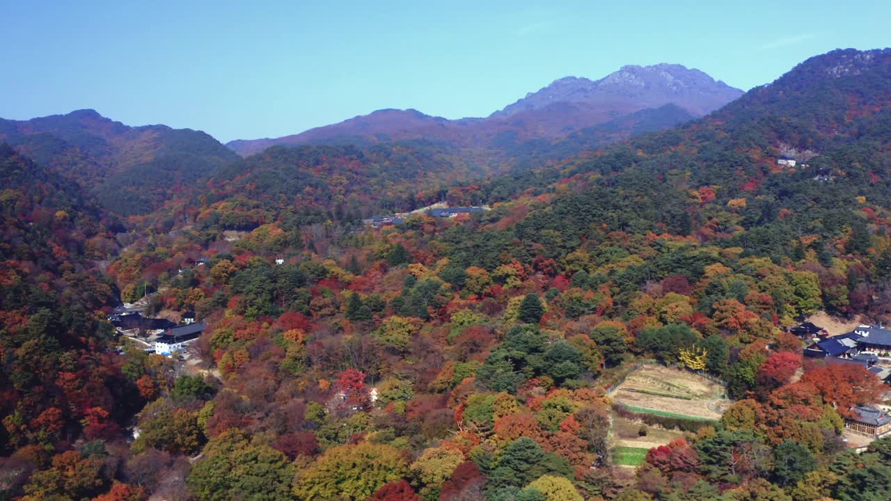 韩国庆尚南道陕川郡伽罗山海印寺视频素材