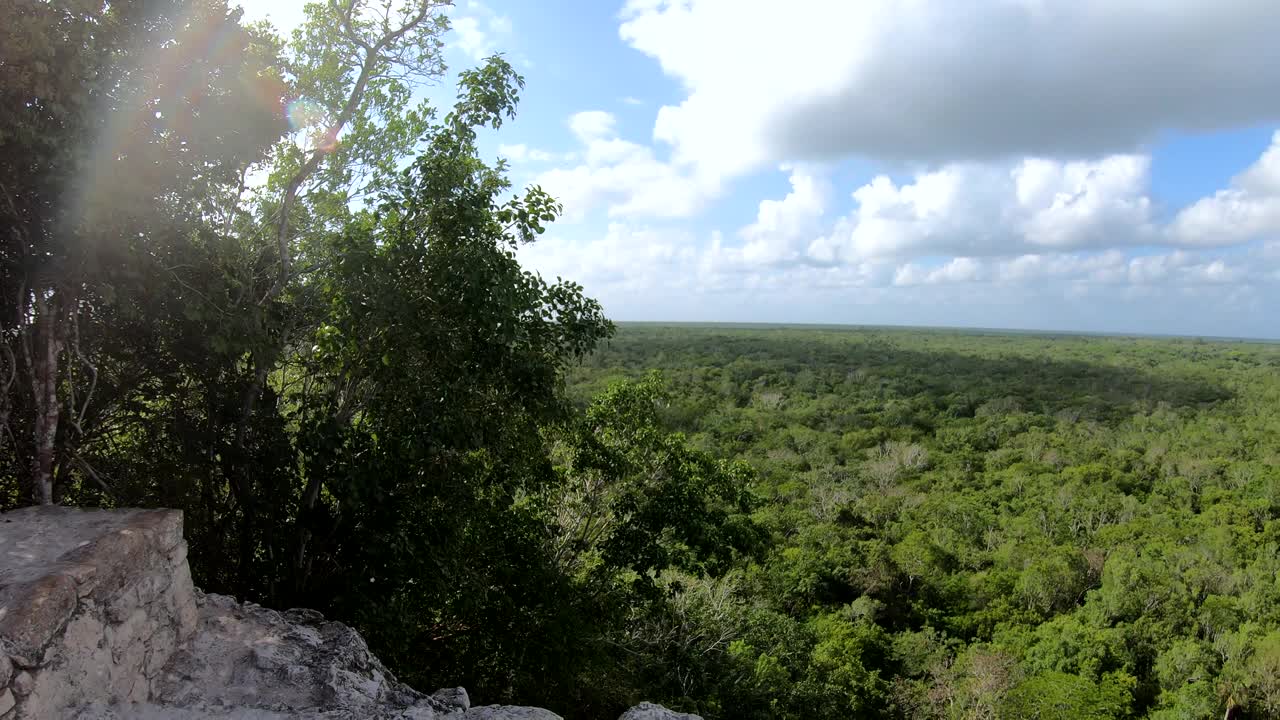 Mayan Temple尝试尤卡坦半岛金塔纳罗奥墨西哥视频素材