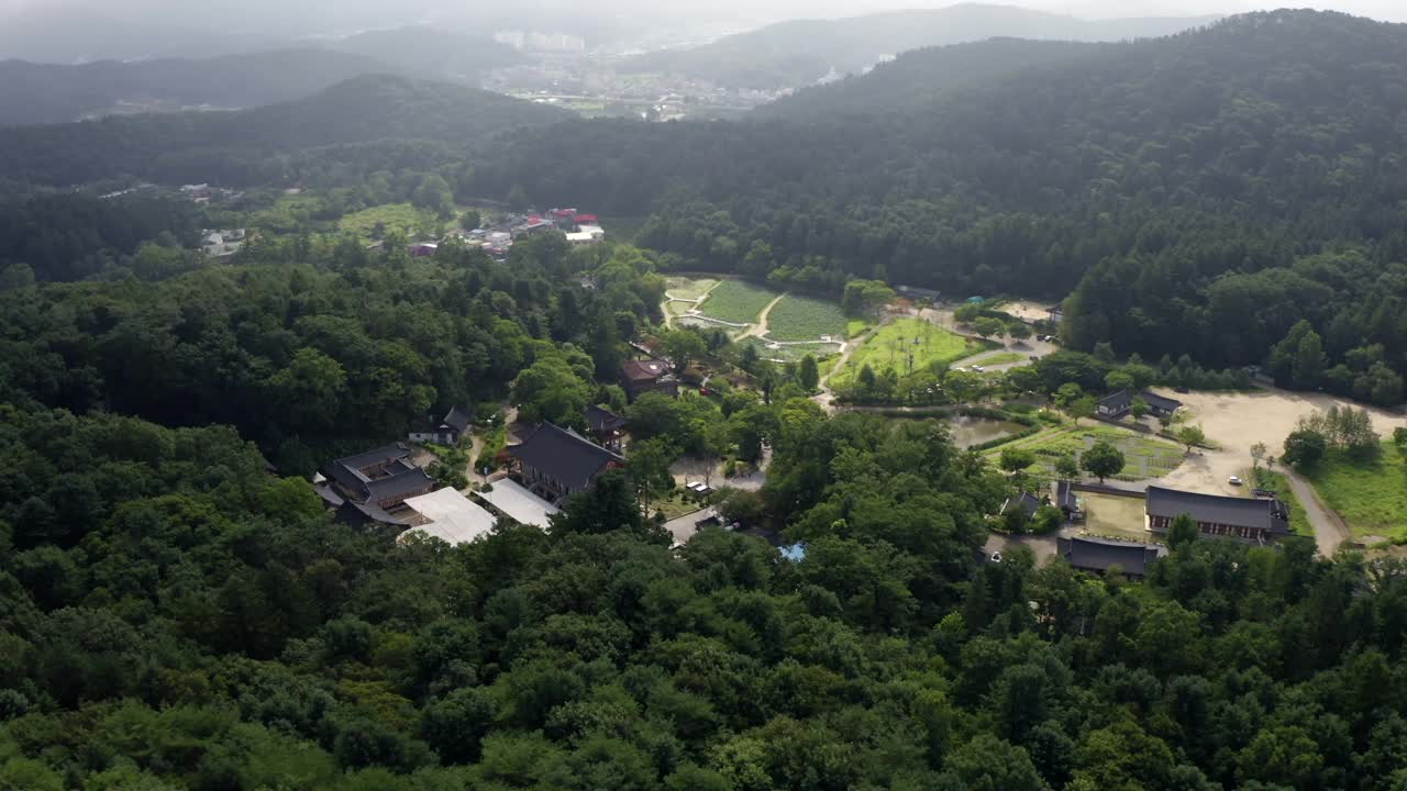 凤仙寺莲花池/南杨州，韩国，京畿道视频素材