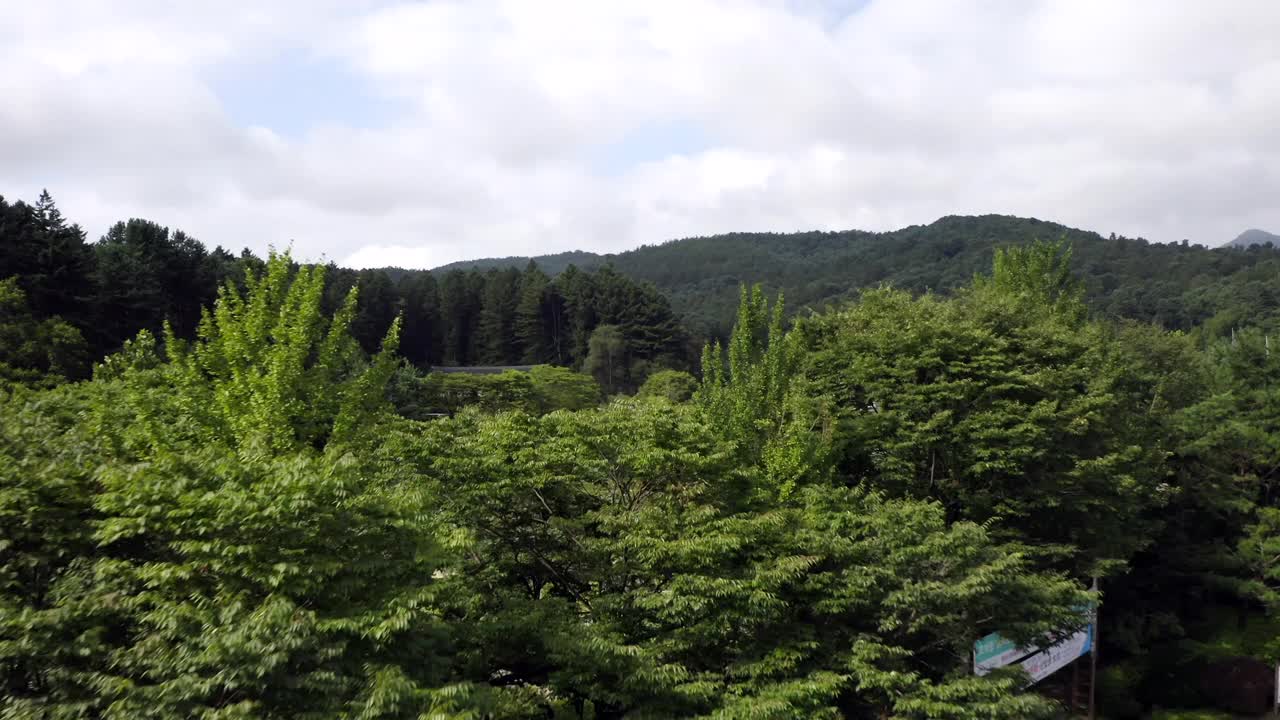 凤仙寺莲花池/南杨州，韩国，京畿道视频素材