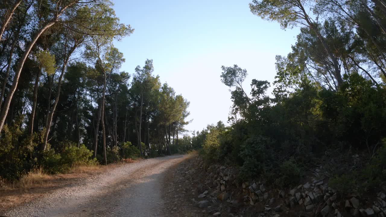 从汽车行驶在一条土路槽美丽的，郁郁葱葱的松树林在日落拍摄的一个动作相机视频下载