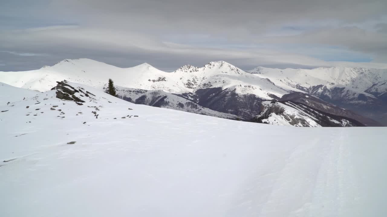 令人惊叹的鸟瞰积雪覆盖的Sar山(Sar Planinca)和松树林视频素材