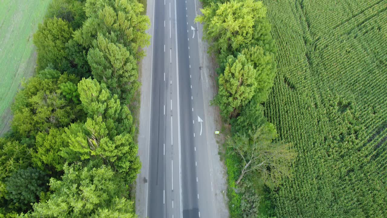 一辆载着集装箱的卡车在公路上行驶。从四轴飞行器上飞过树梢视频素材