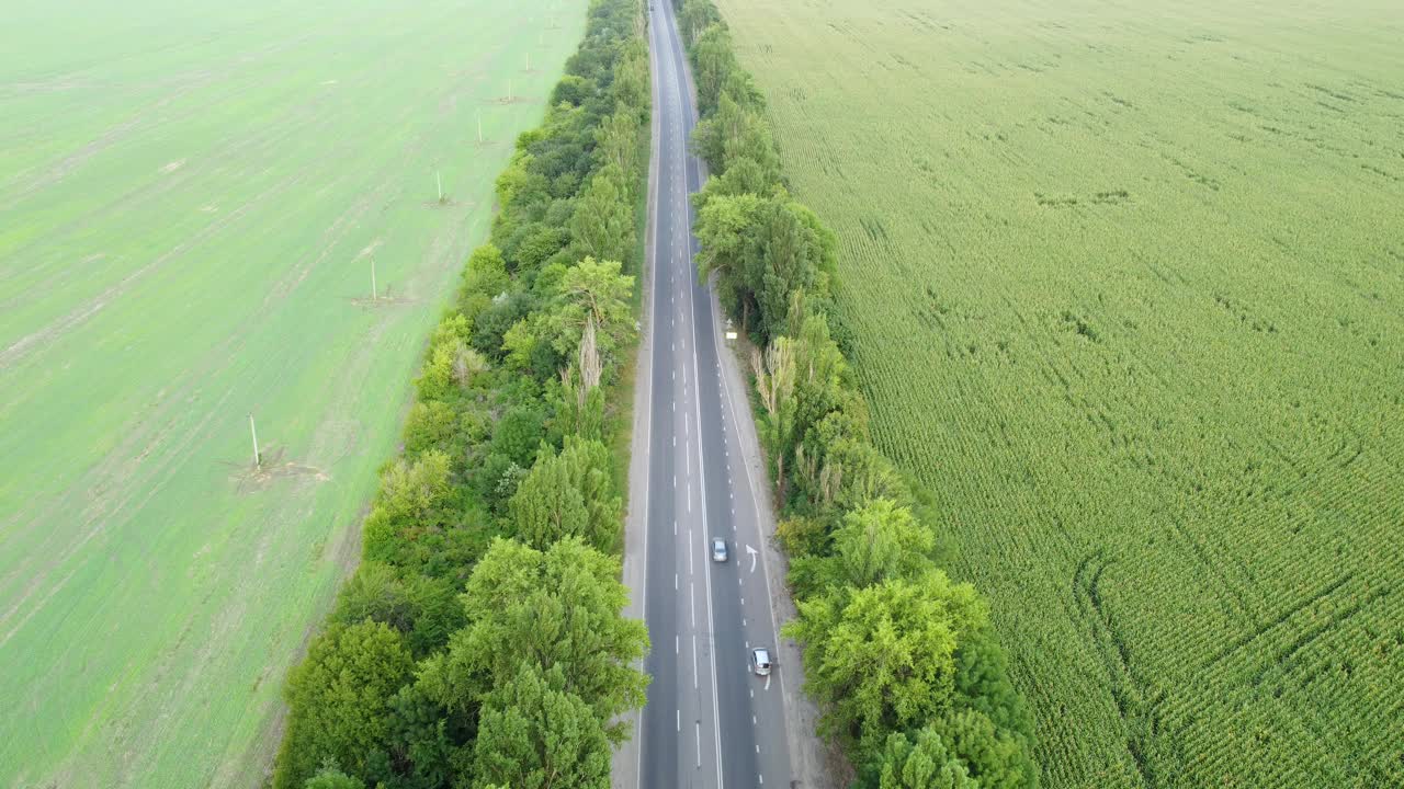 这条道路用树木和农田隔开，交通十分繁忙。从高处看视频素材