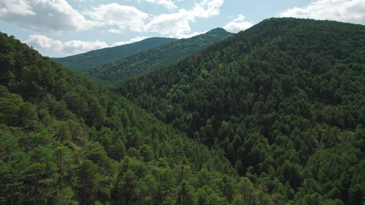 树木覆盖的高山。从鸟瞰图上看到的山脉。视频素材