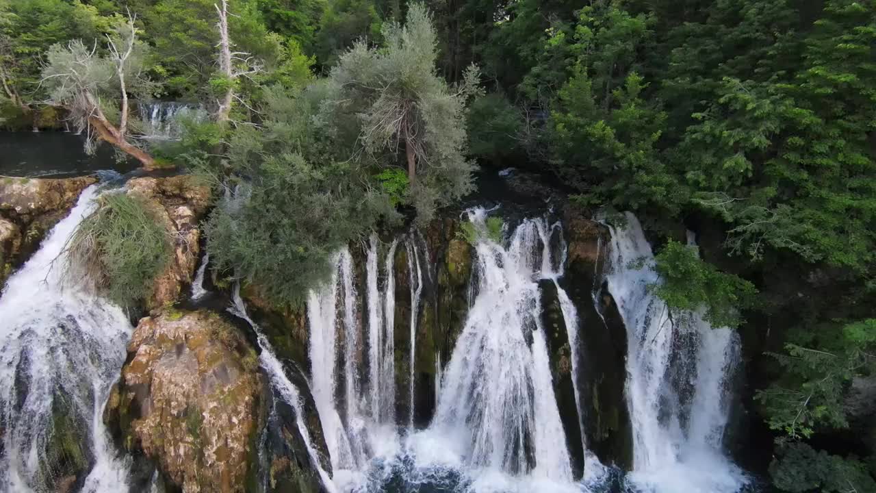 第一人称飞行在峡谷深处，山间河流，竹林，杜鹃花覆盖苔藓视频素材