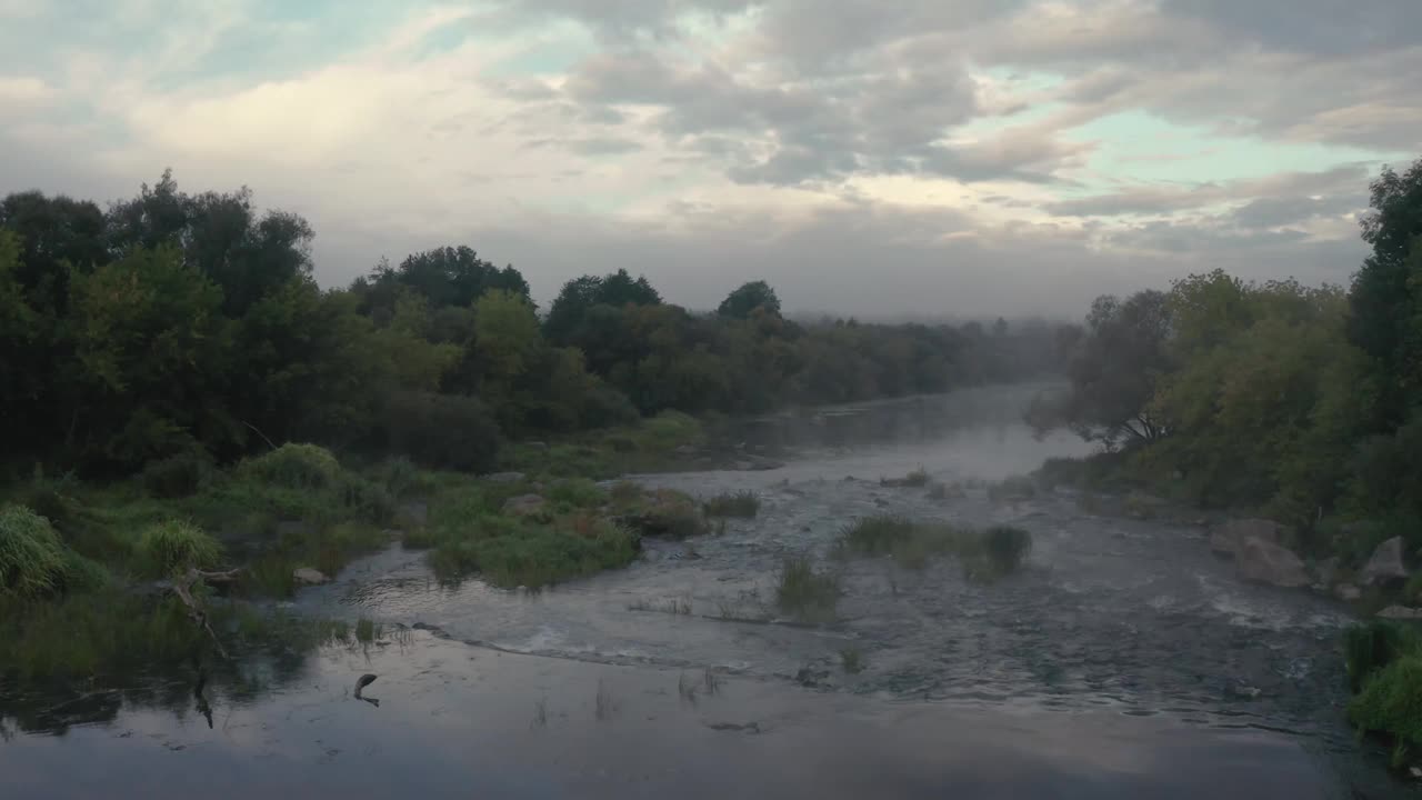 早晨的风景。无人机在雾中观察森林河流。视频素材