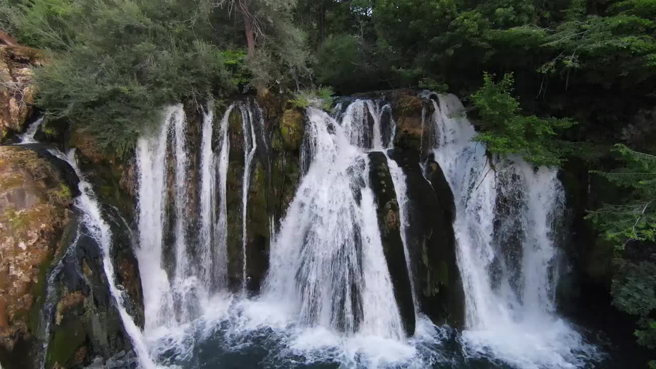 第一人称飞行在峡谷深处，山间河流，竹林，杜鹃花覆盖苔藓视频素材