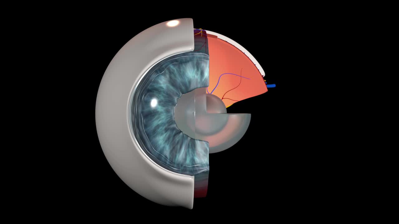 人眼解剖视频素材