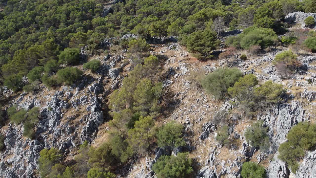 用无人机在西班牙山区和森林拍摄的壮观视频。视频素材