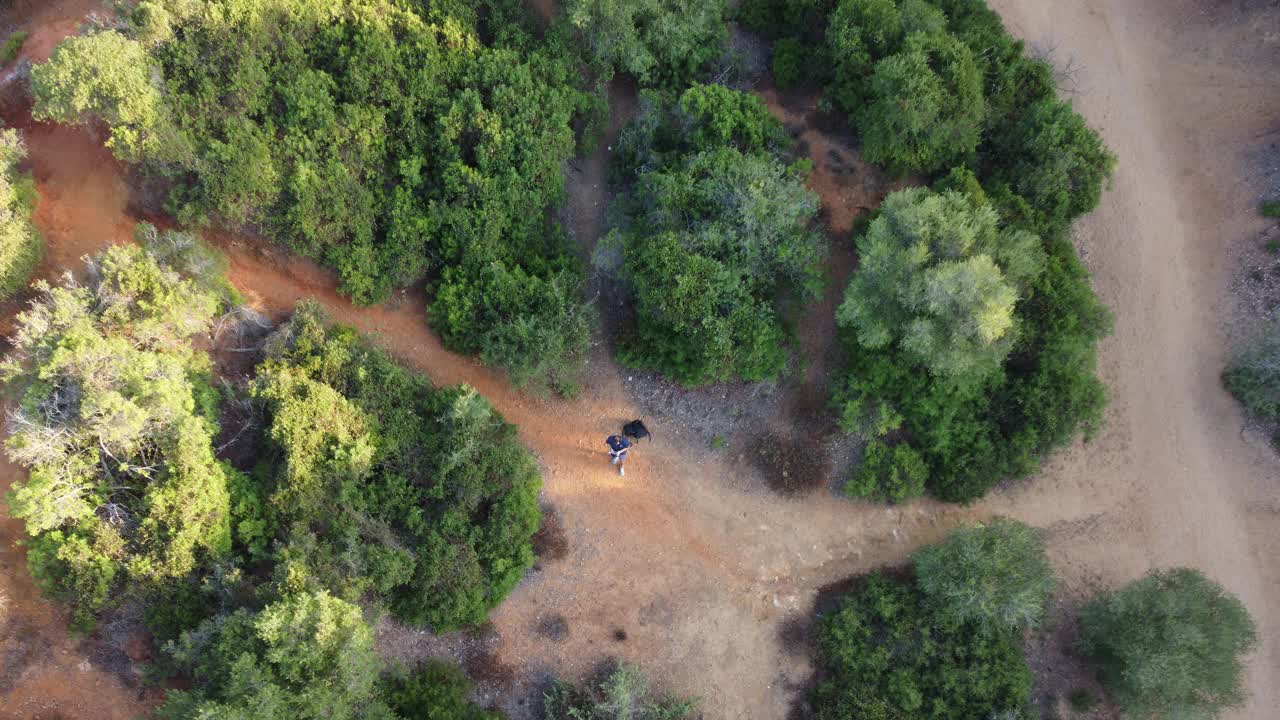 用无人机在西班牙山区和森林拍摄的壮观视频。视频素材