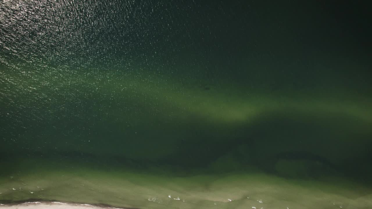 库尔尼亚角海滩壮丽的景观。画面中的波罗的海海岸和森林视频素材