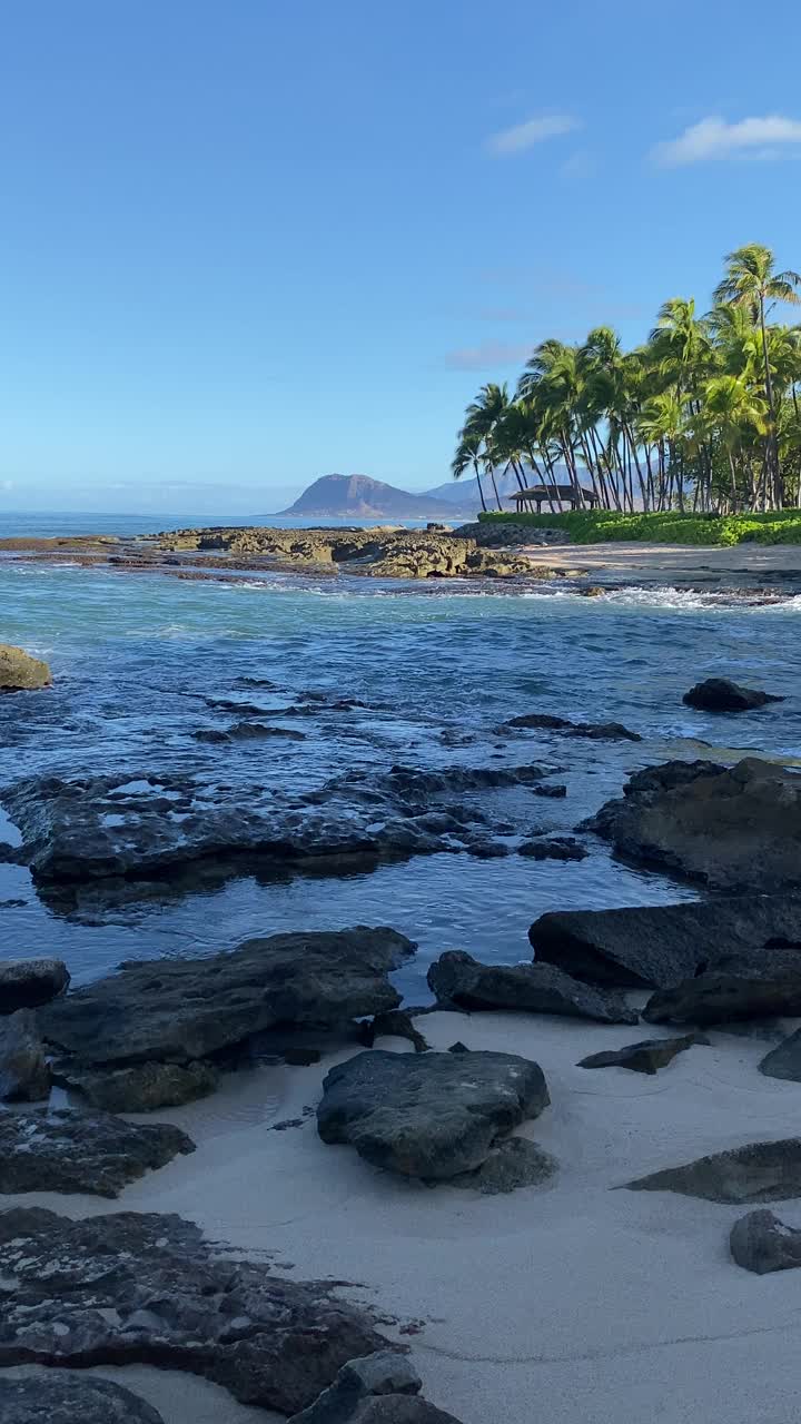 瓦胡岛泻湖的岩石海岸线视频素材