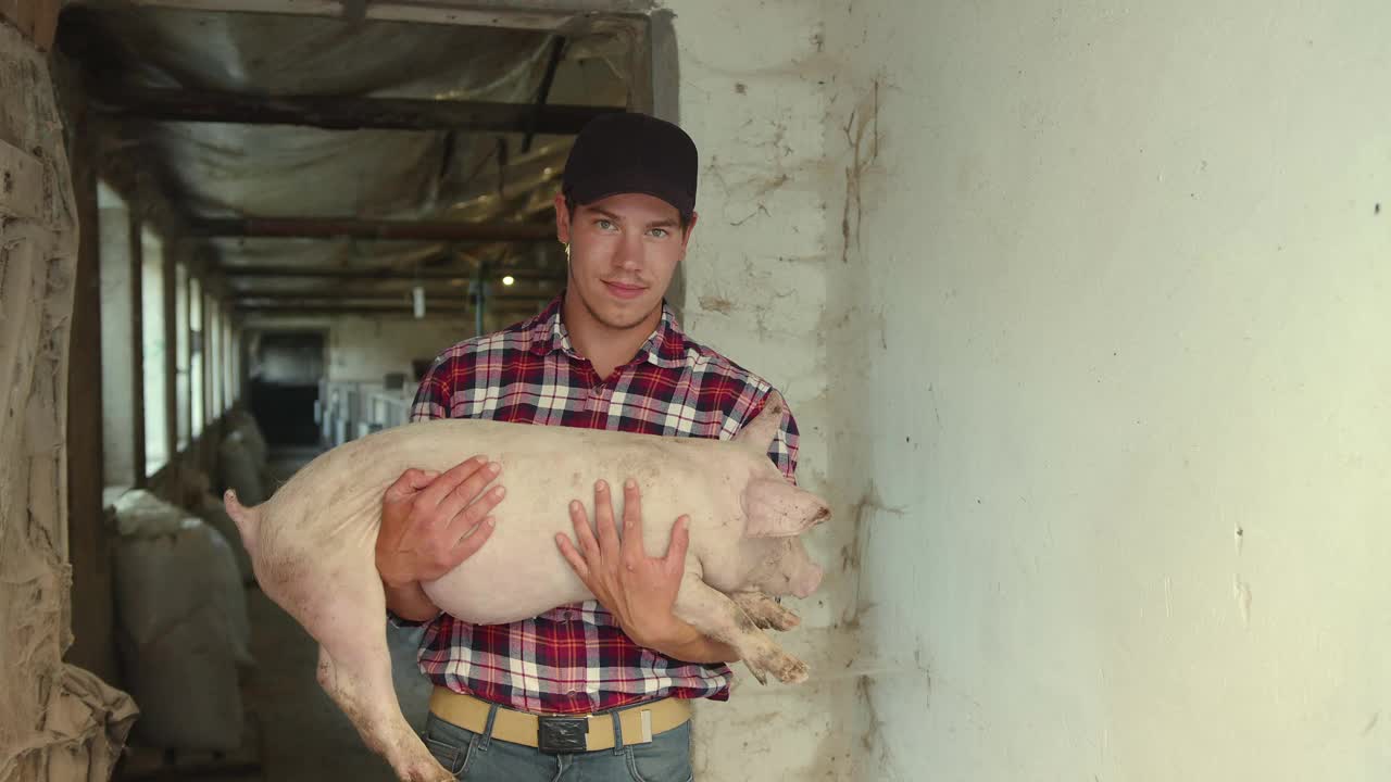 一个农夫把农场里的猪抱在怀里视频素材