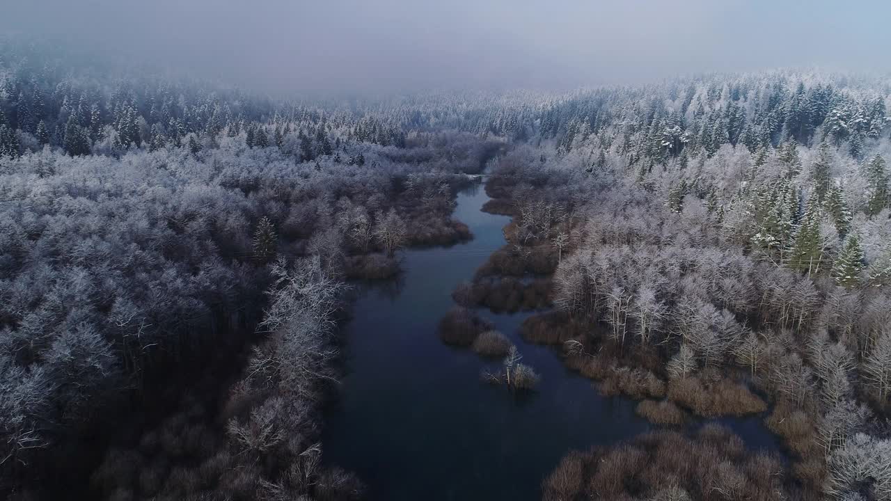 无人机在河流流经森林在冬天的观点视频素材