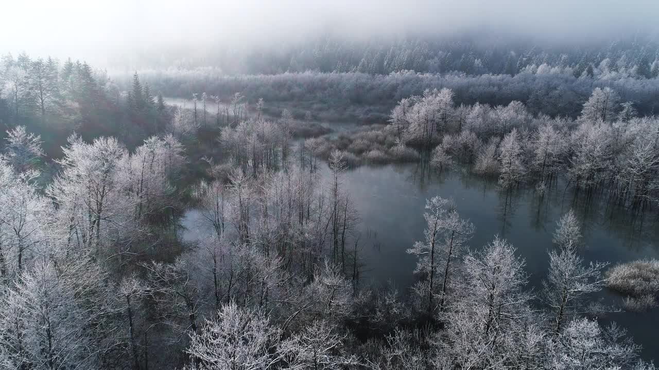 无人机在冬季的山区河流沼泽部分的观点视频素材