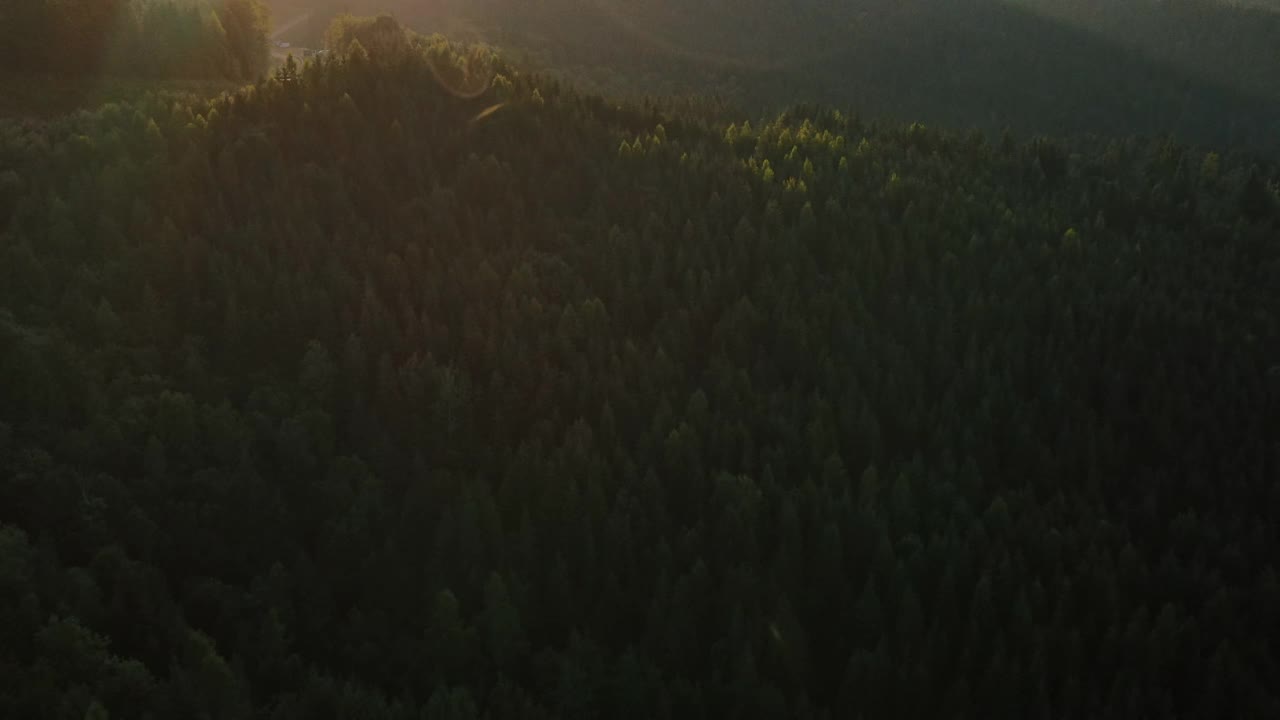 在日落或日出时，无人机在自然国家公园山谷蜿蜒道路附近的山上美丽的松树林上空飞行。旅行，冒险，旅行，目的地，梦想视频素材