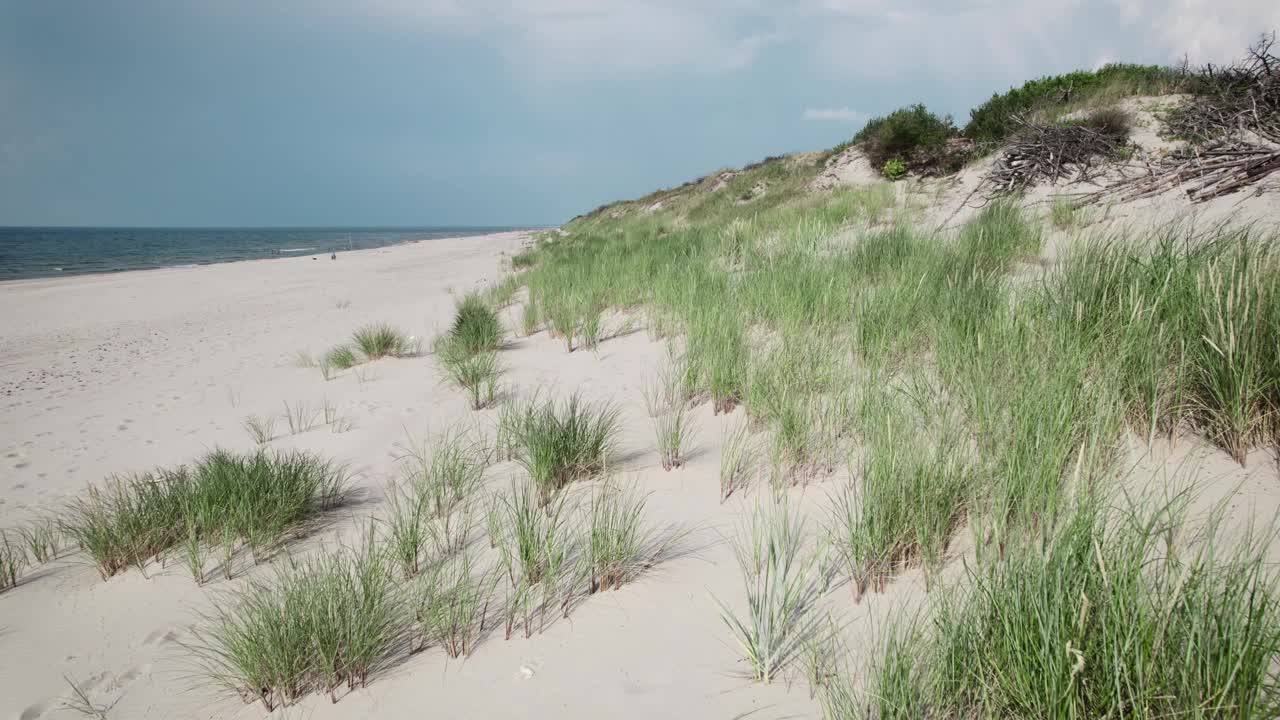 鸟瞰图。波罗的海沿岸风景如画。夏日和荒凉的海滩视频素材